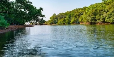 Charlotte Lake 