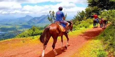 Horse Rides &amp; Walking Trails 