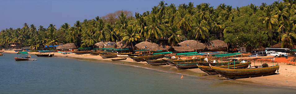 tarkarli beach