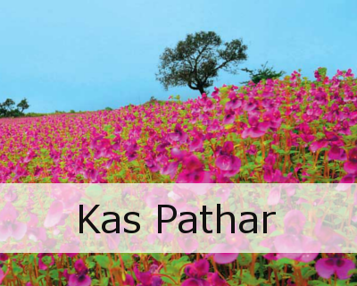 kas pathar