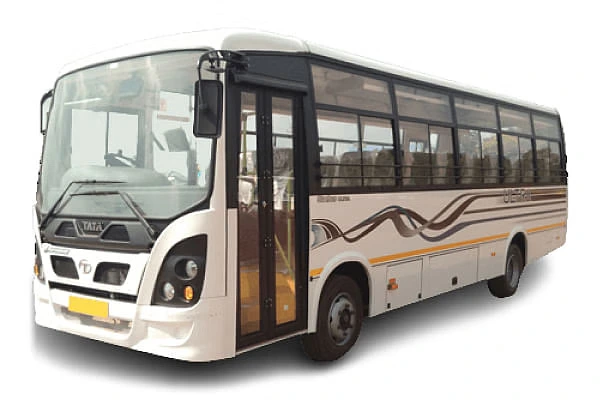 Standard Bus