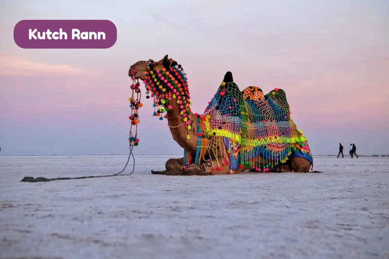 Gujarat Tourism Packages