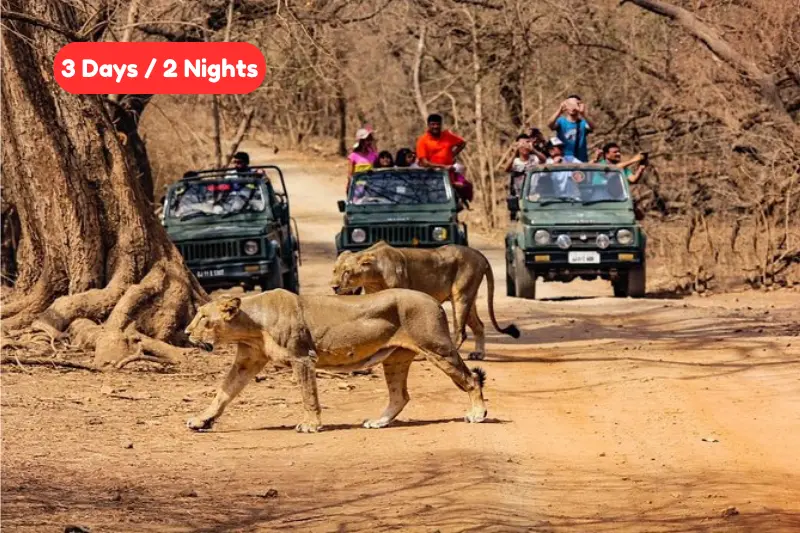 Gujarat Tourism
