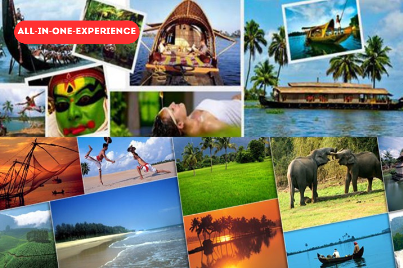 kerala tour packages