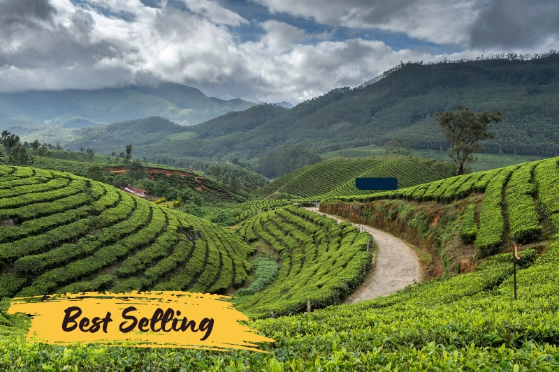 Kerala Tour Packages