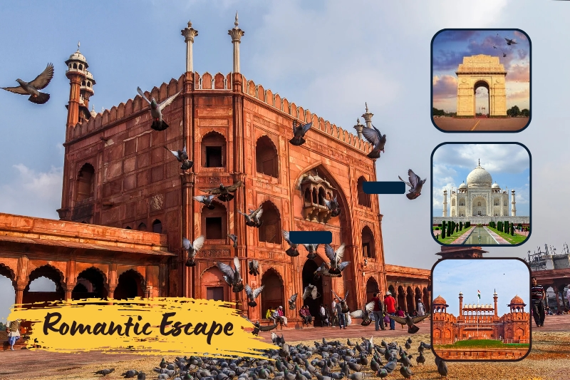 Golden Triangle Tour Packages