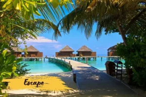 Maldives Tour Packages