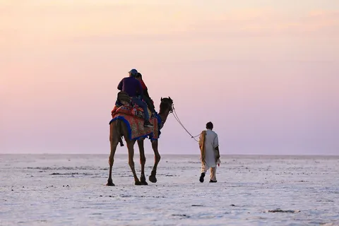 Rann of Kutch