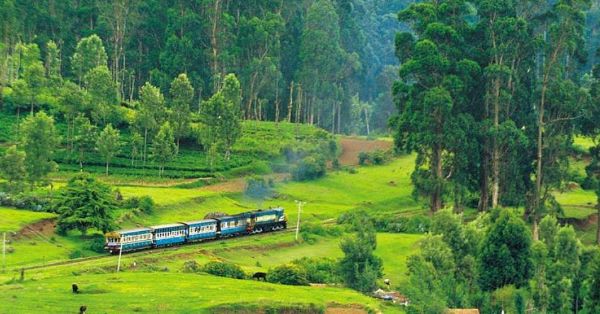 Ooty tour packages