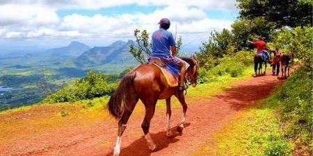 Horse Rides & Walking Trails