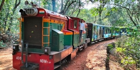Toy Train Ride